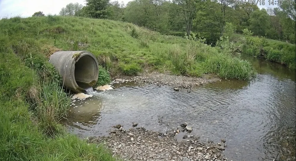Effluent: Generative AI report. Timed capture after overnight rain. Generative AI reports light tan foam and some sediment near the pipe mouth, the water otherwise clear: natural after rain, no concern. Logged.
