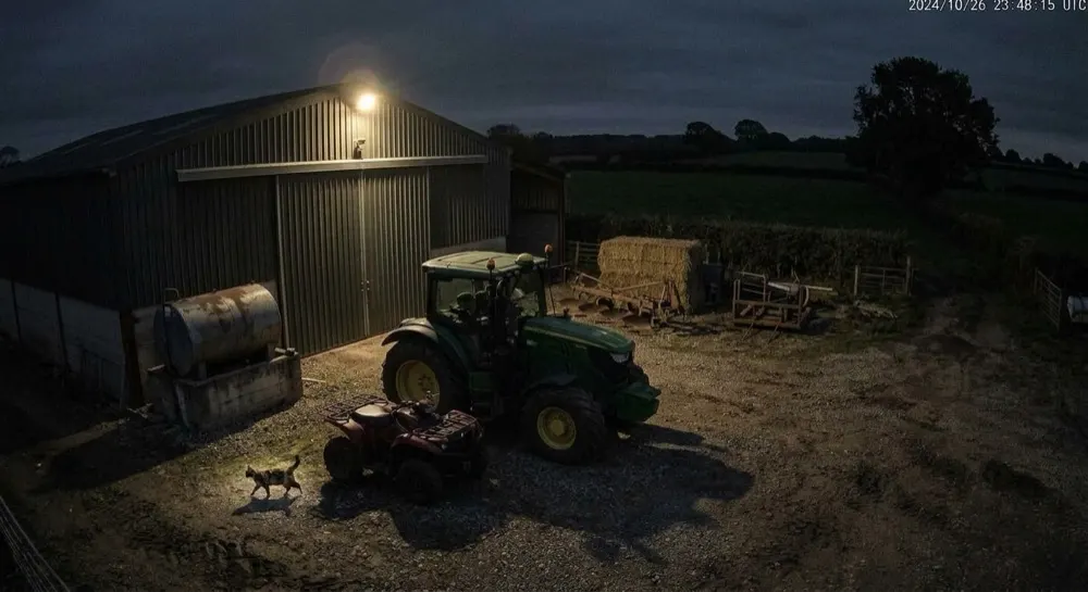 Farm machinery theft: Motion alert cleared locally. Motion triggered; local AI clears it — the farm cat crossing the yard.
