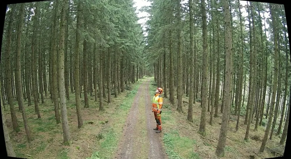 Illegal logging: Camera alert cleared by generative AI. Person escalated for analysis; Gen AI clears it — a forestry worker inspecting, no felling.