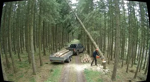 Alert frame for Illegal logging
