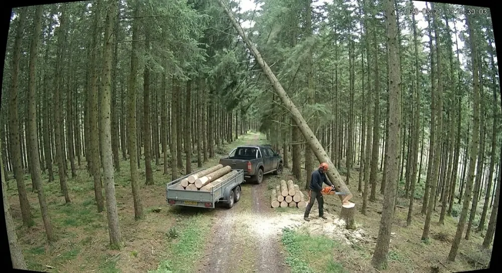 Illegal logging: Generative AI raises alert. Gen AI confirms suspicious activity — a tree being felled with a chainsaw and logs loaded onto a truck.