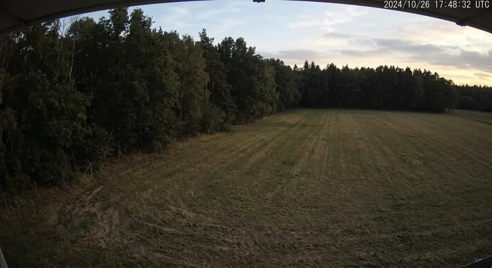 Poacher detection: No motion. No alert — quiet estate field at dusk.
